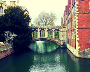 cambridge-puente