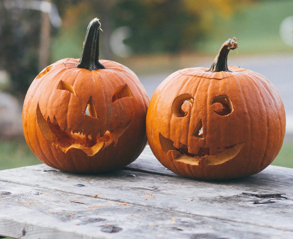 Por qué las calabazas son el símbolo de Halloween? | Blog FSL